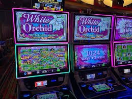 abc slot featured game showcase